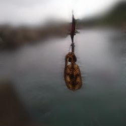 サイトエギング